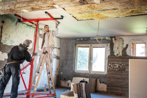 Best Spray Foam Insulation in Ladd, IL