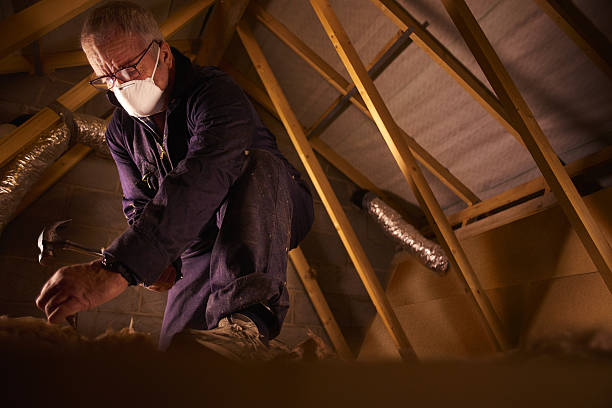 Types of Insulation We Offer in Ladd, IL
